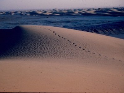 The dunes of Sar-o Tar, Afghanistan